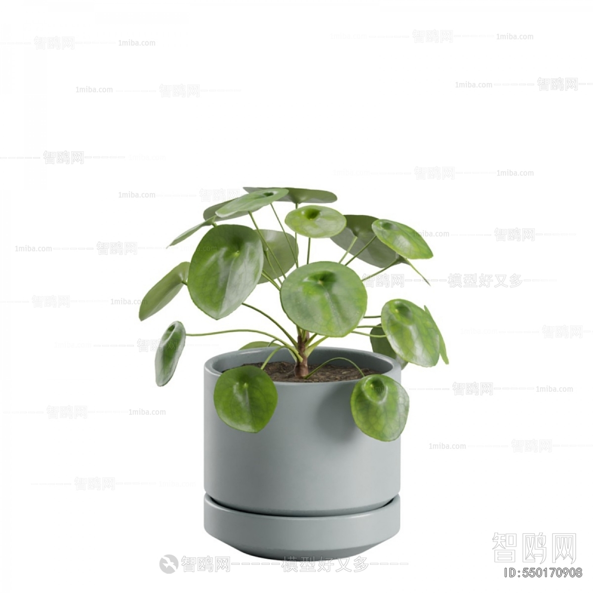 Modern Ground Green Plant Potted Plants