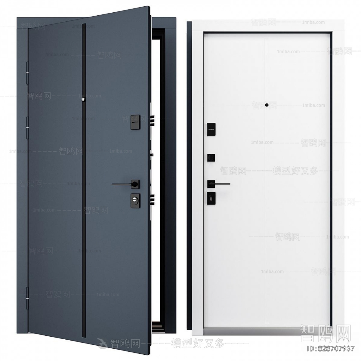 Modern Entrance Door