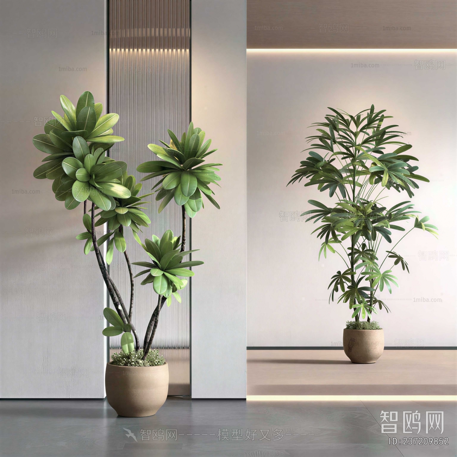 Modern Ground Green Plant Potted Plants