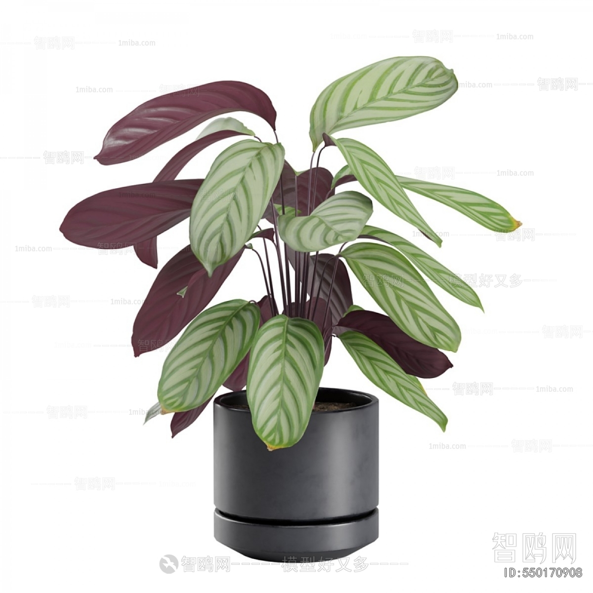 Modern Ground Green Plant Potted Plants