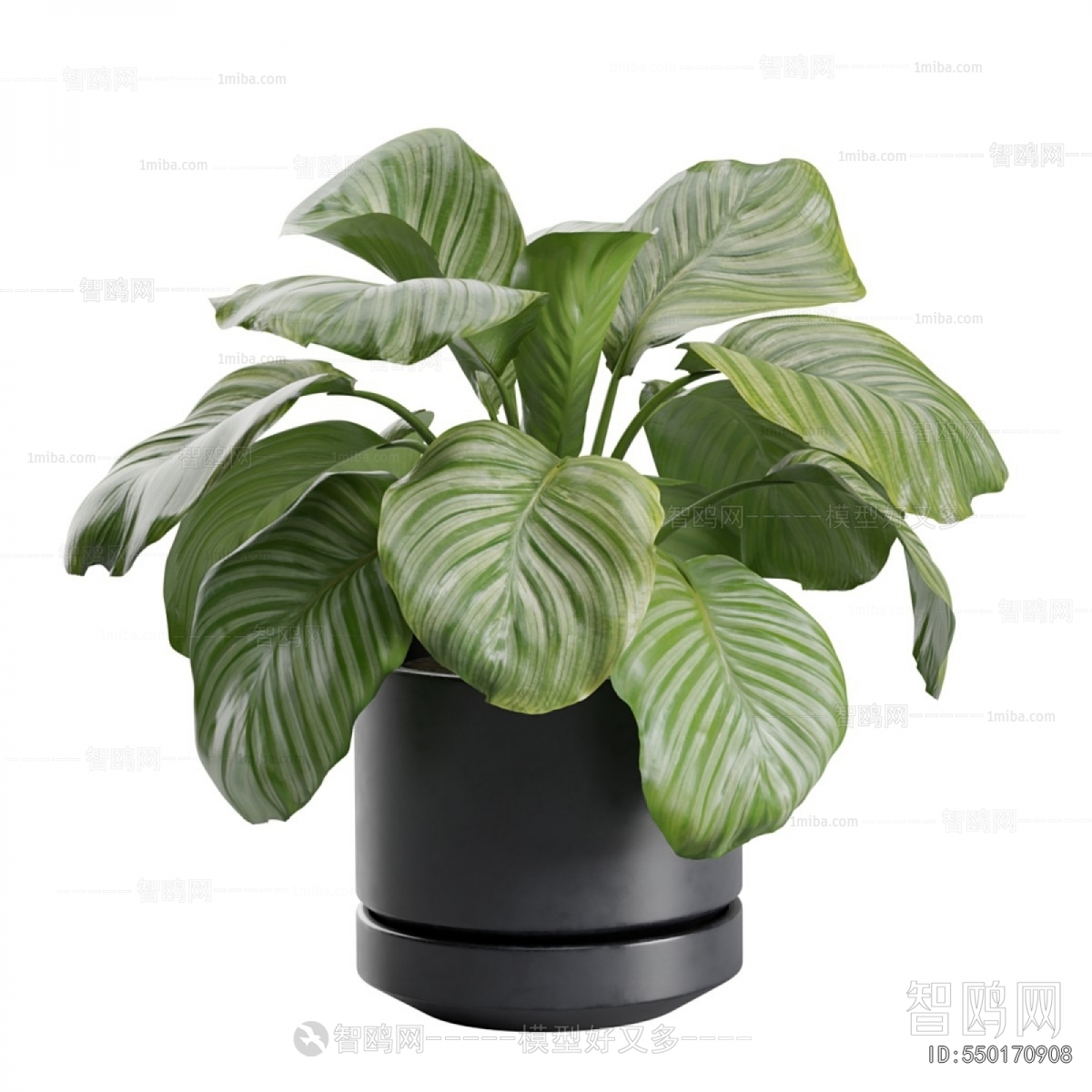 Modern Ground Green Plant Potted Plants