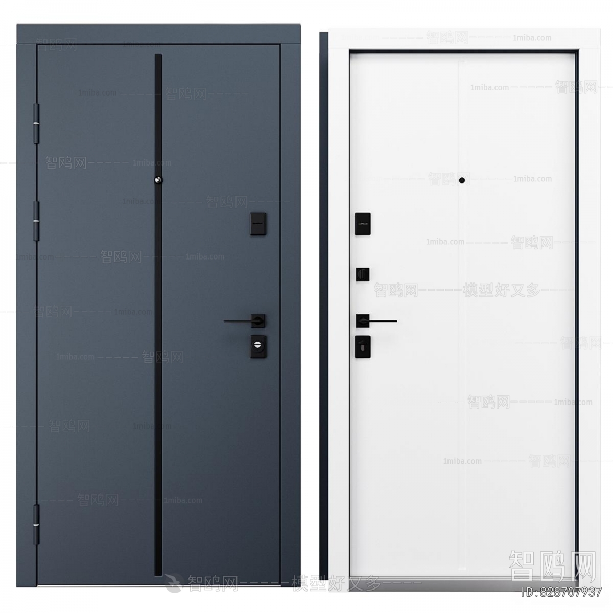 Modern Entrance Door