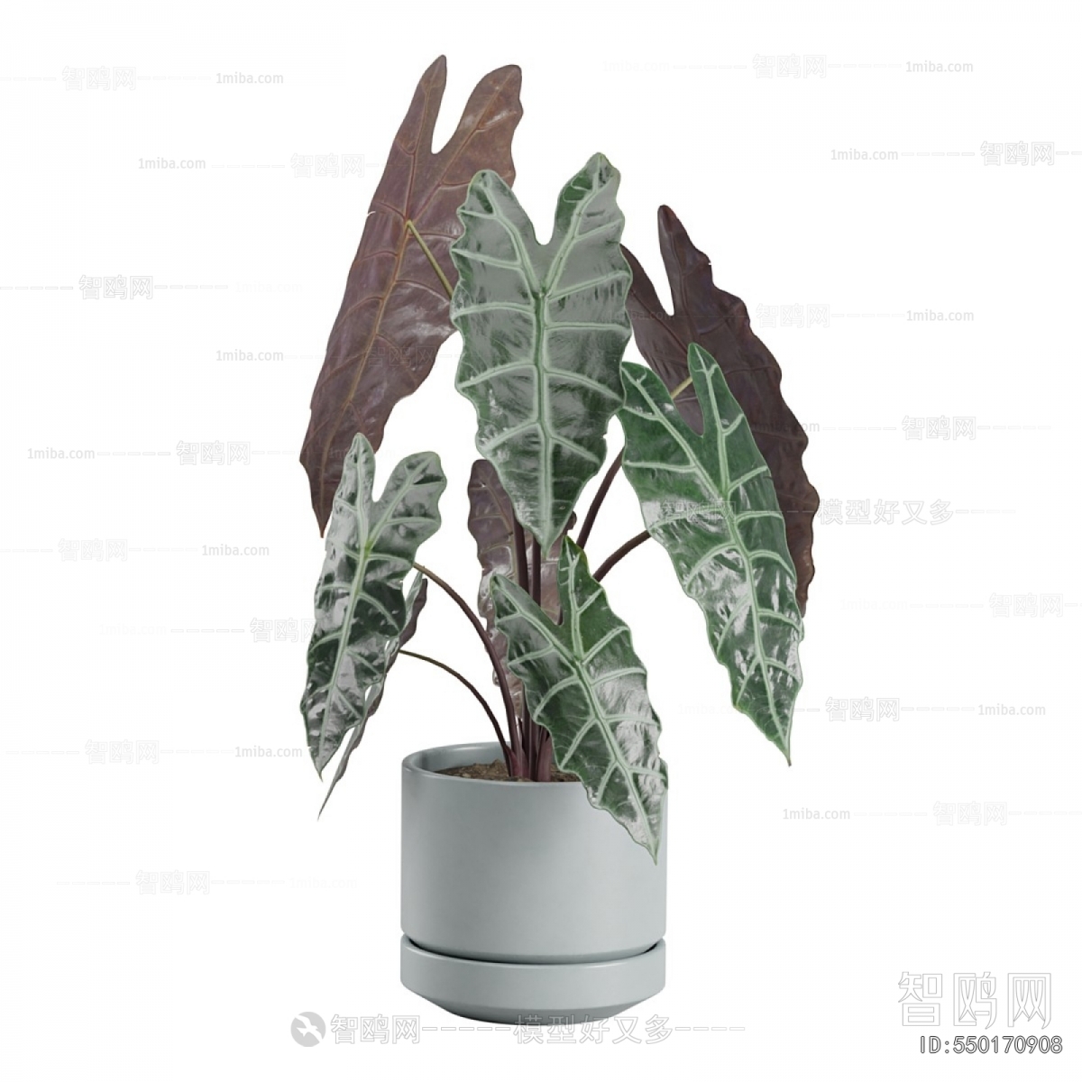 Modern Ground Green Plant Potted Plants