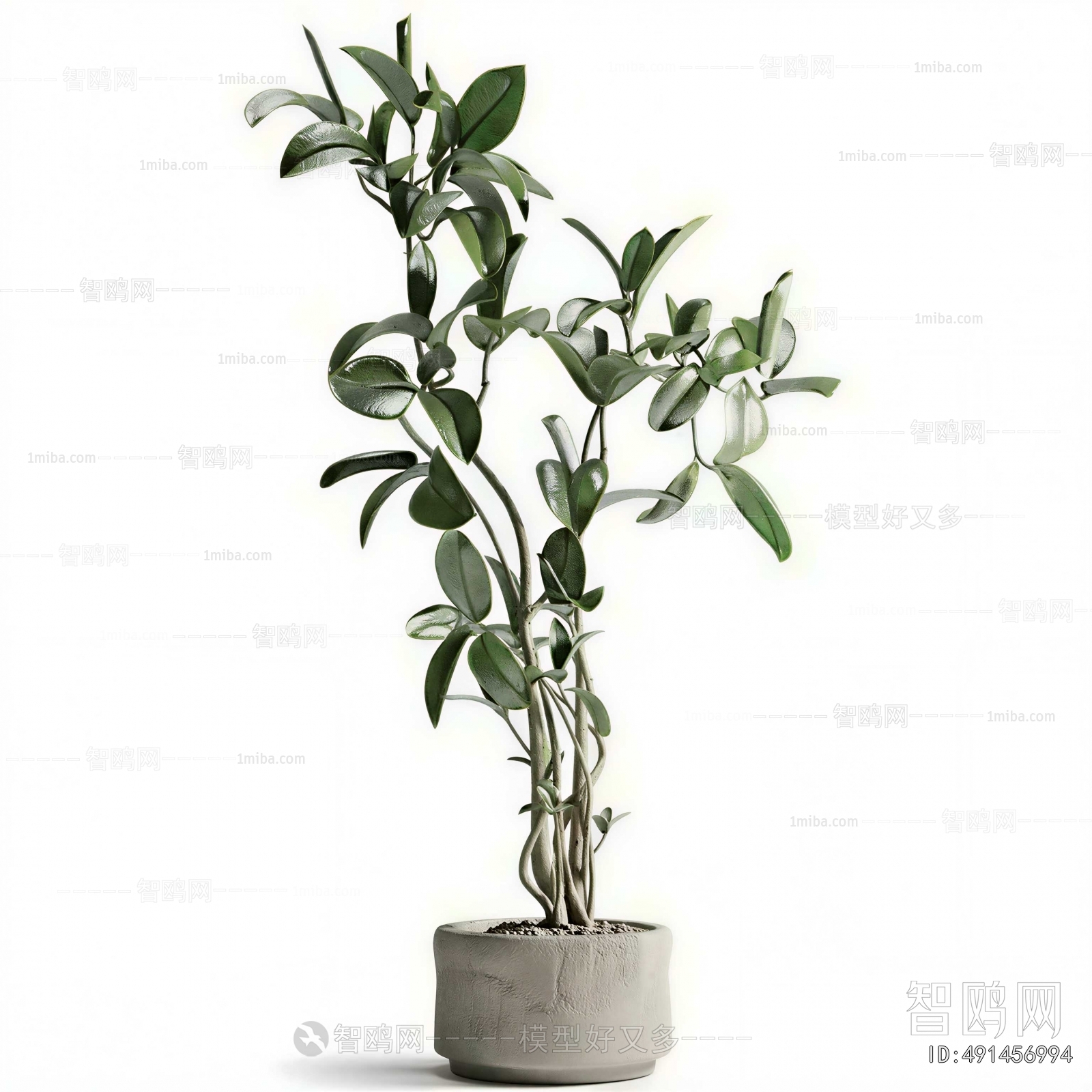 Modern Ground Green Plant Potted Plants