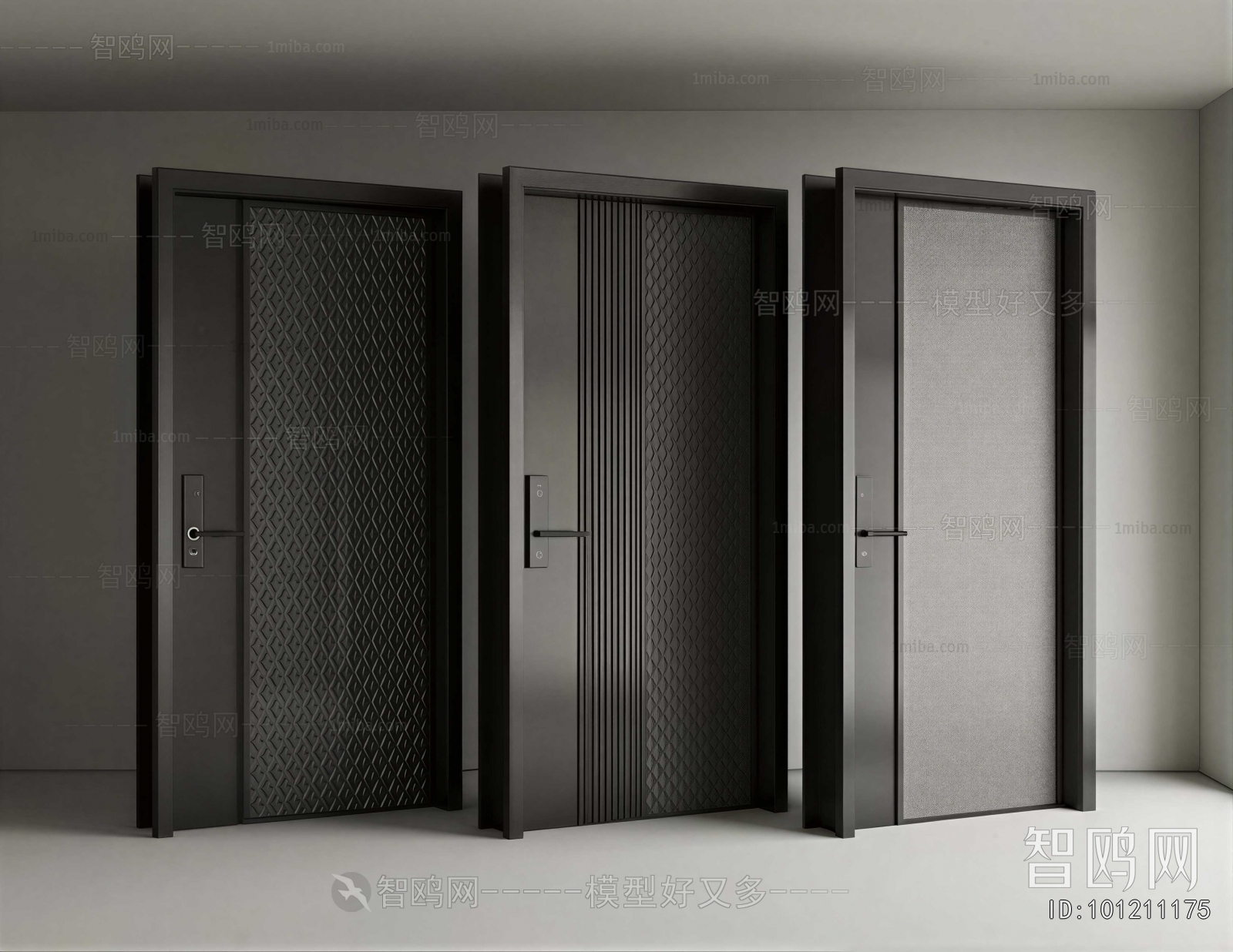 Modern Entrance Door