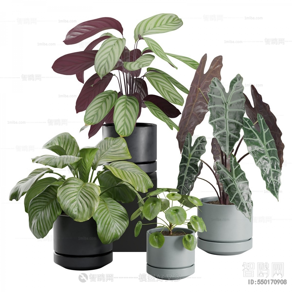 Modern Ground Green Plant Potted Plants