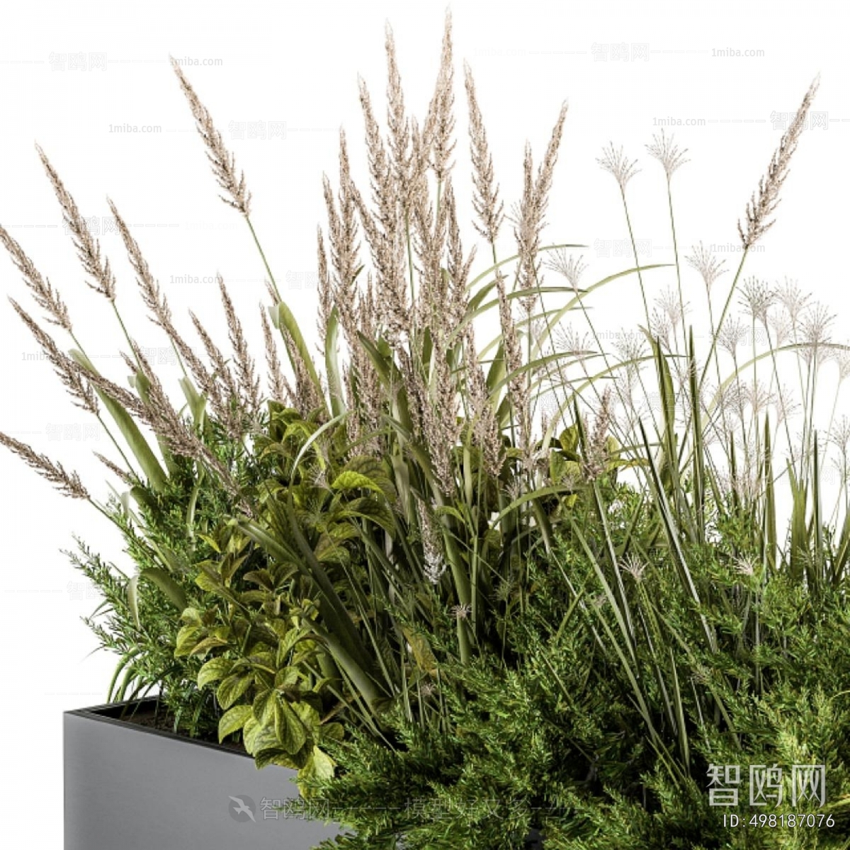 Modern Flower Bed, Flower Bowl, Flower Box