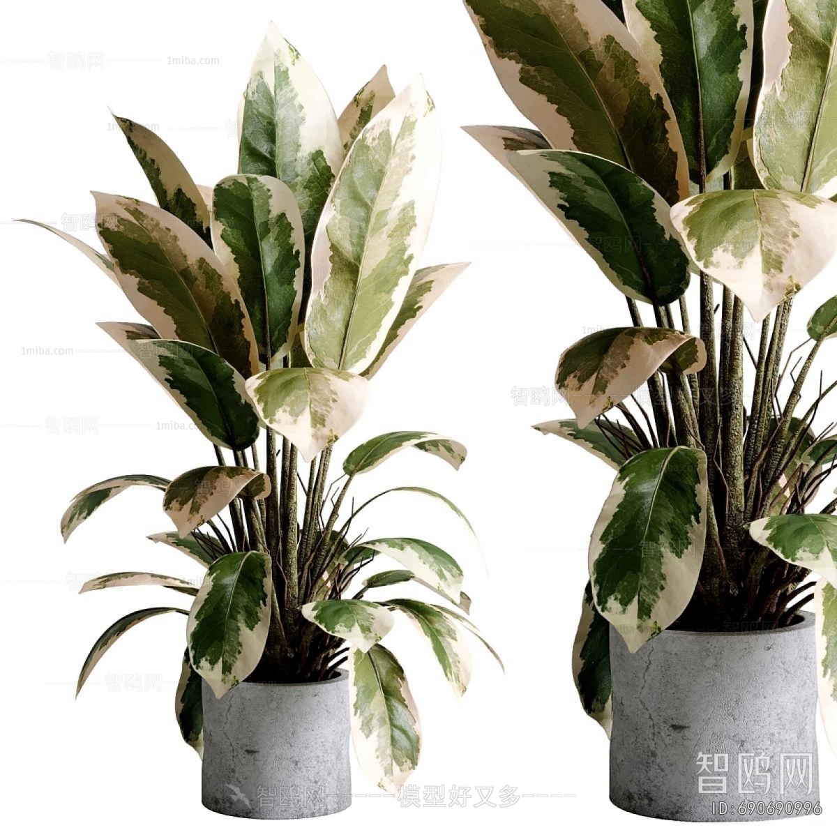 Modern Ground Green Plant Potted Plants