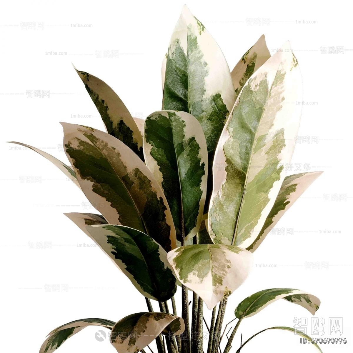 Modern Ground Green Plant Potted Plants