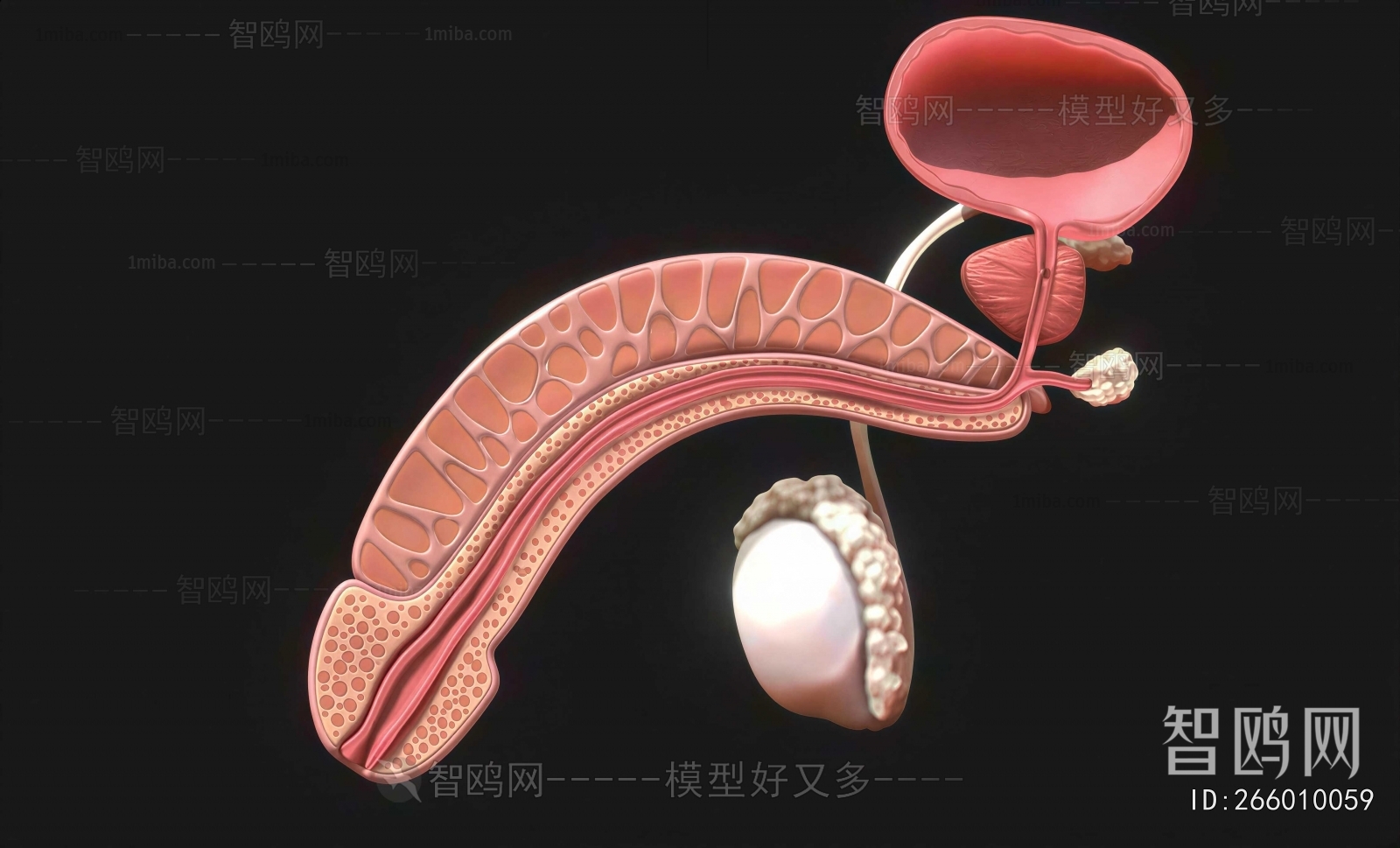 Modern Medical Equipment