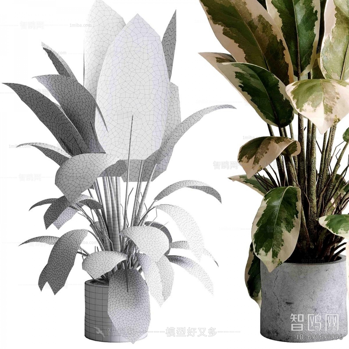 Modern Ground Green Plant Potted Plants