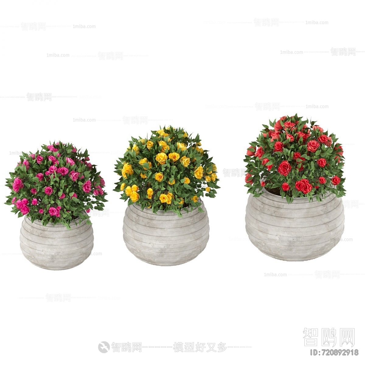 Modern Flower Bed, Flower Bowl, Flower Box