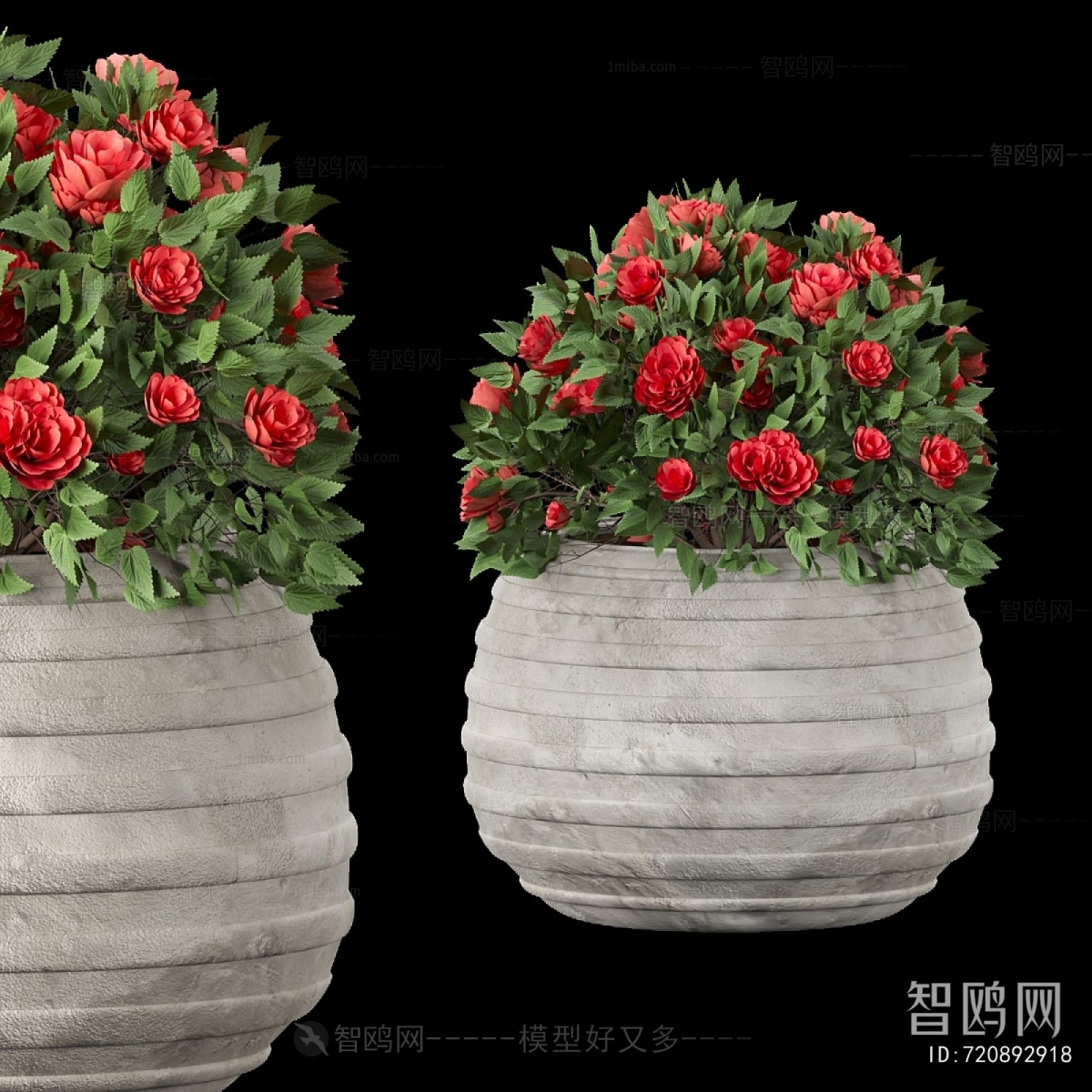 Modern Flower Bed, Flower Bowl, Flower Box