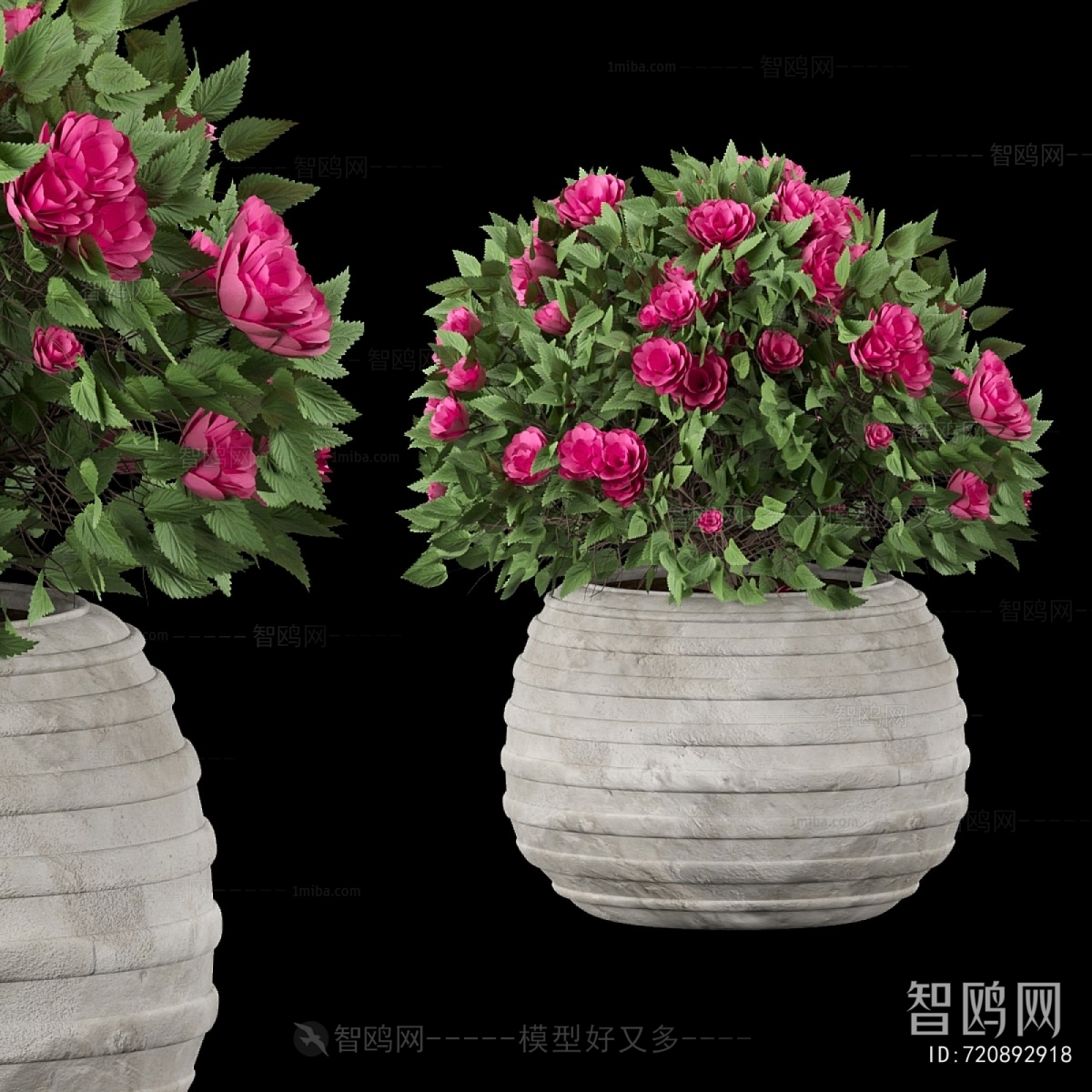 Modern Flower Bed, Flower Bowl, Flower Box