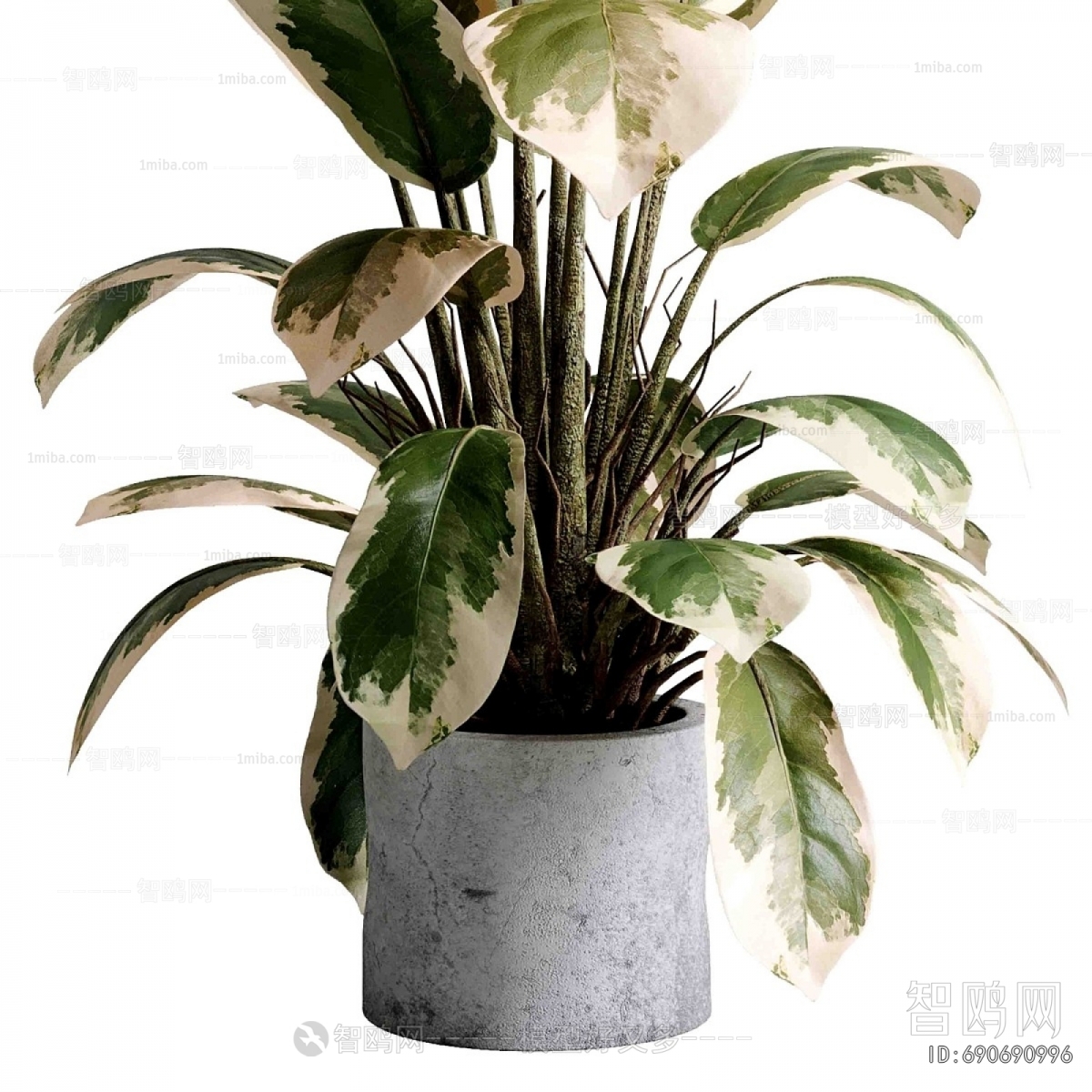 Modern Ground Green Plant Potted Plants