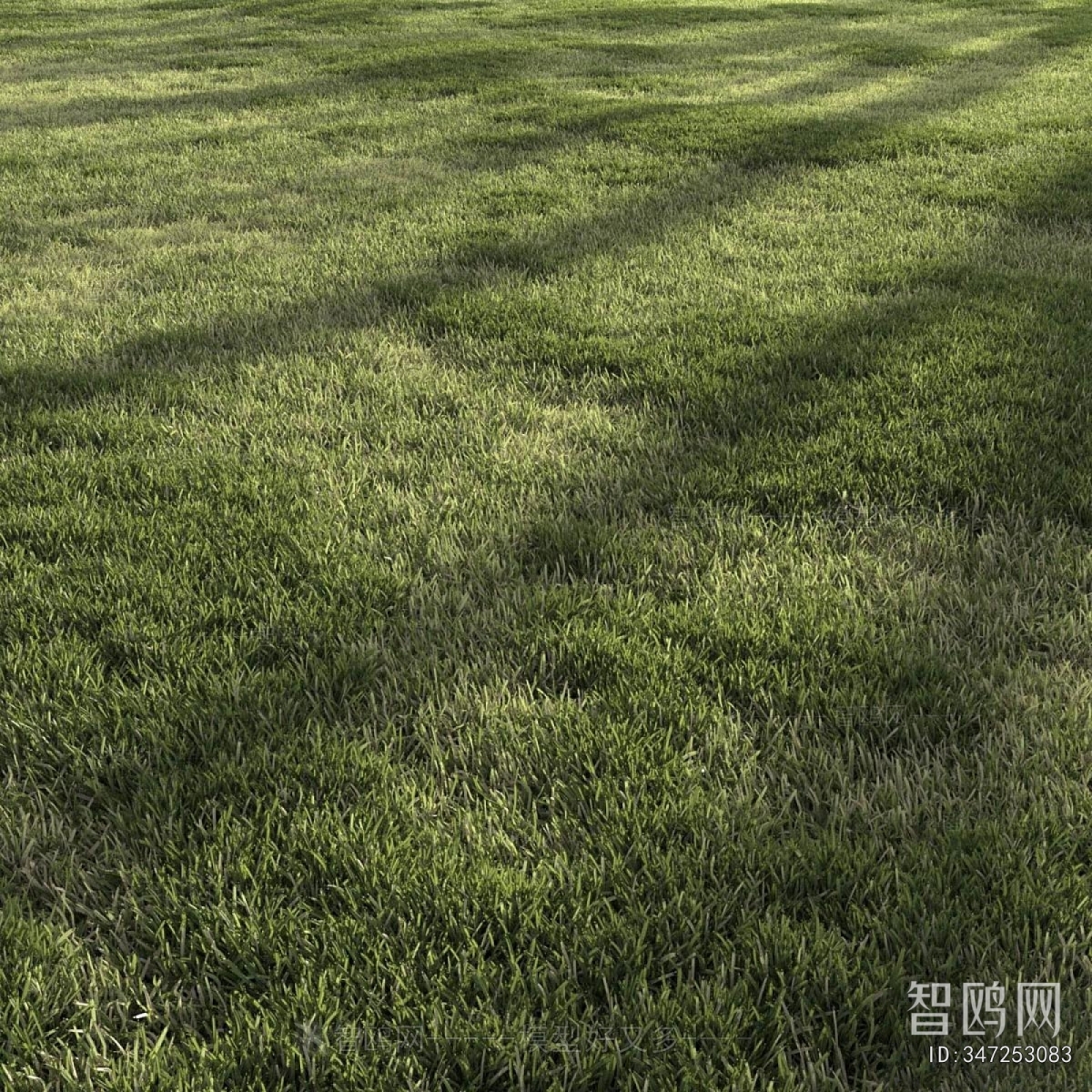 Modern The Grass
