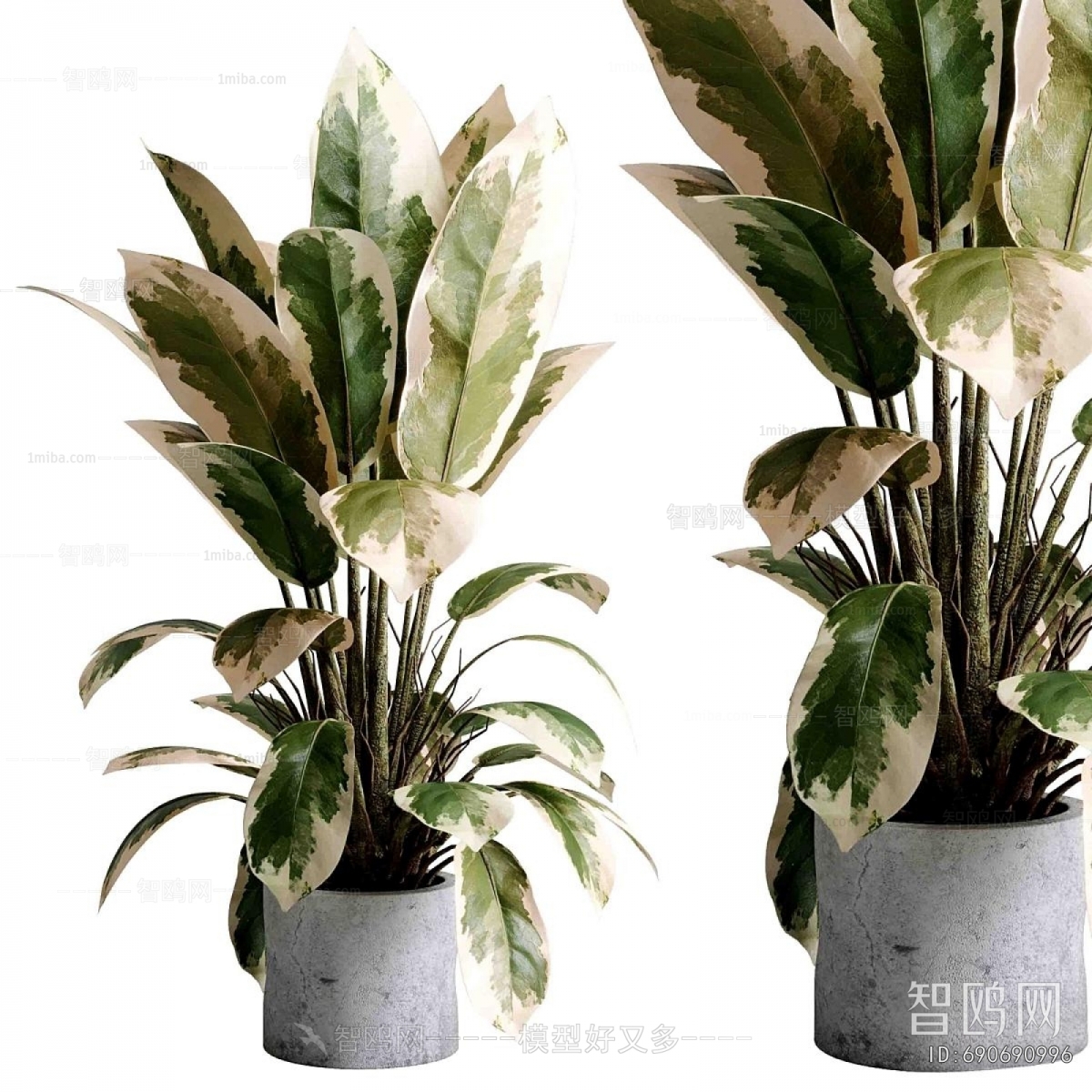 Modern Ground Green Plant Potted Plants