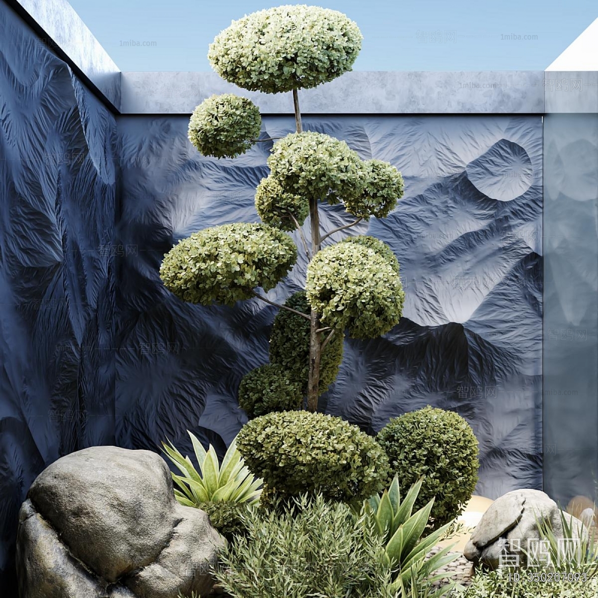 Modern Plant Landscaping