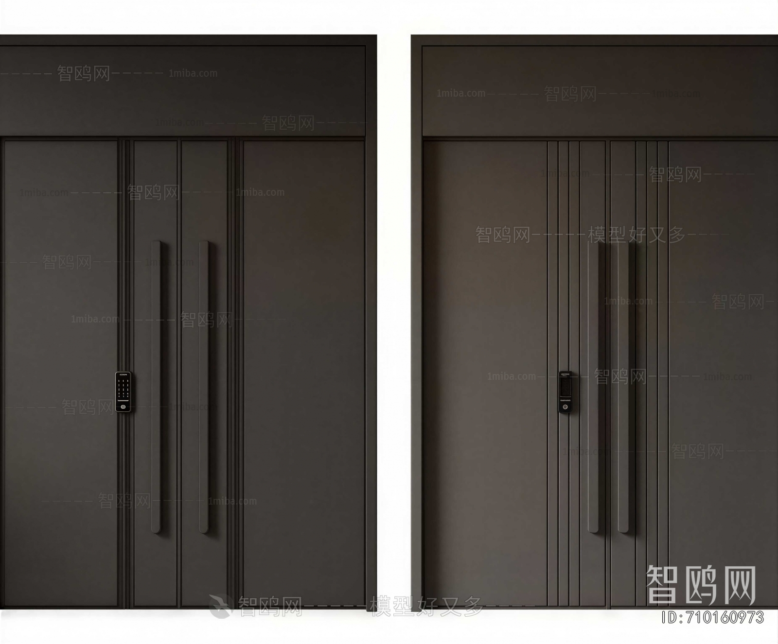 Modern Entrance Door