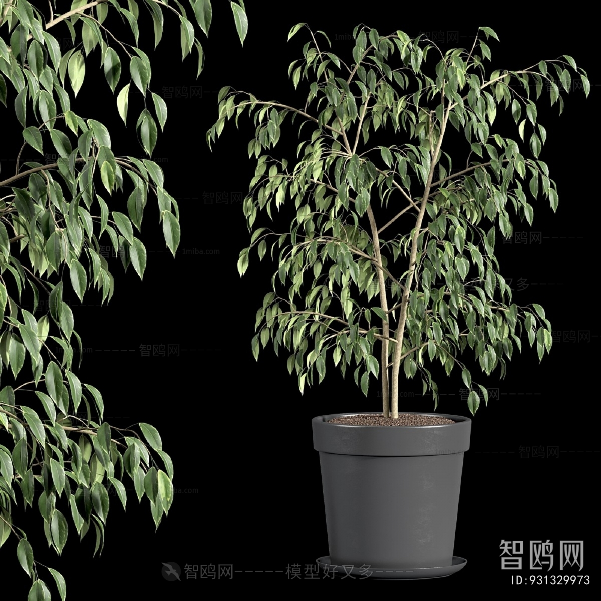 Modern Ground Green Plant Potted Plants