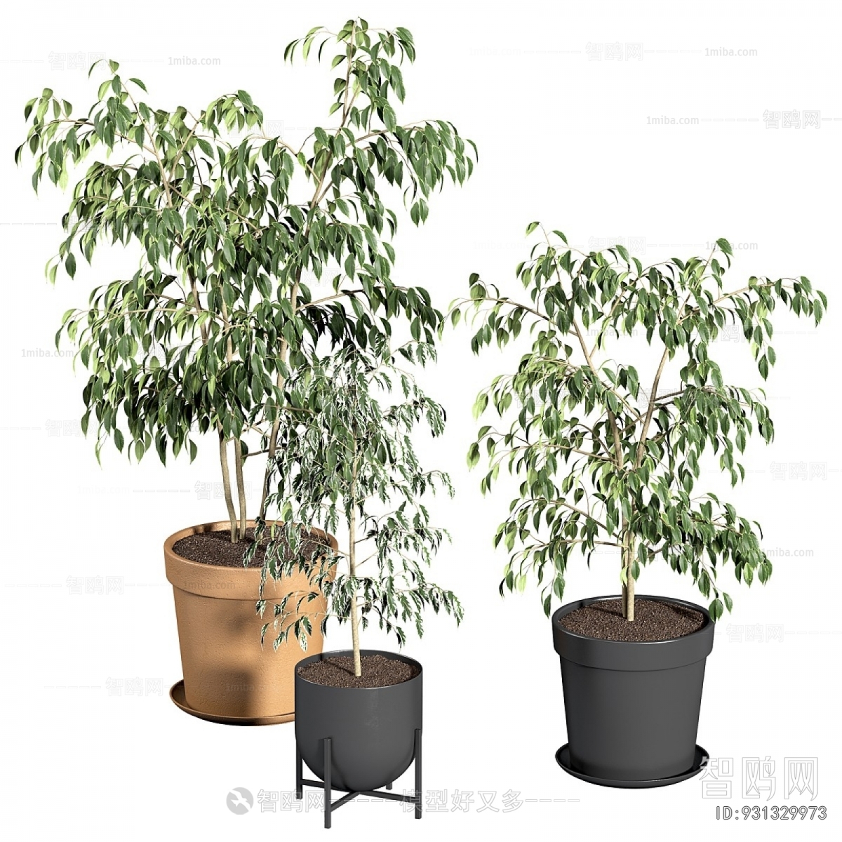 Modern Ground Green Plant Potted Plants