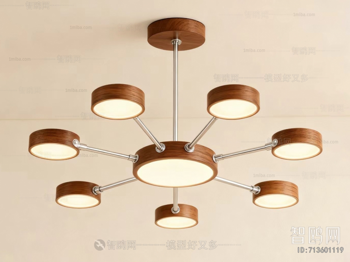 Modern Ceiling Ceiling Lamp
