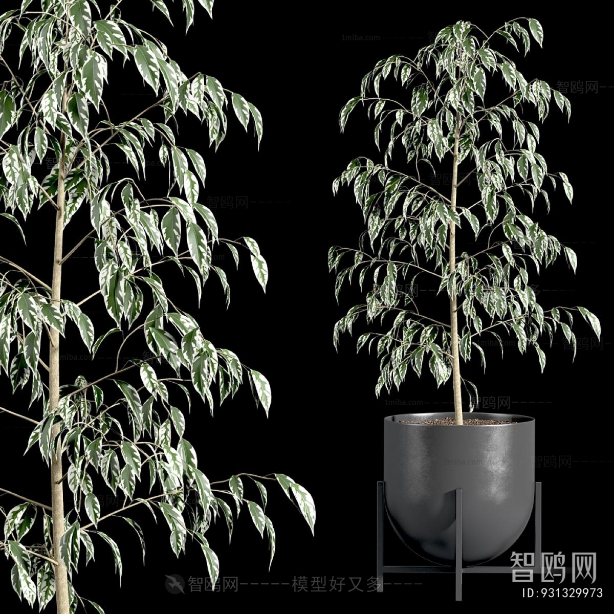 Modern Ground Green Plant Potted Plants