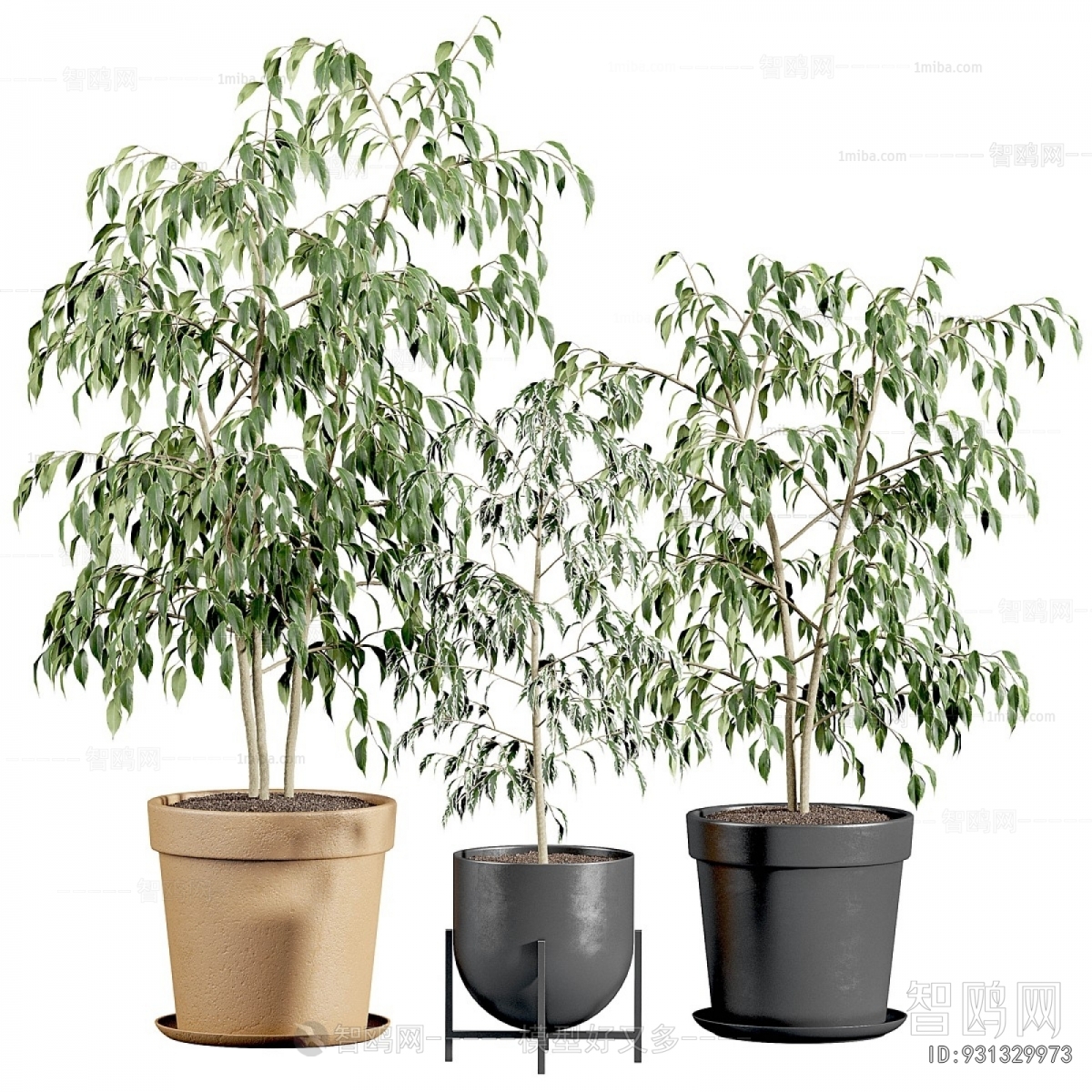 Modern Ground Green Plant Potted Plants