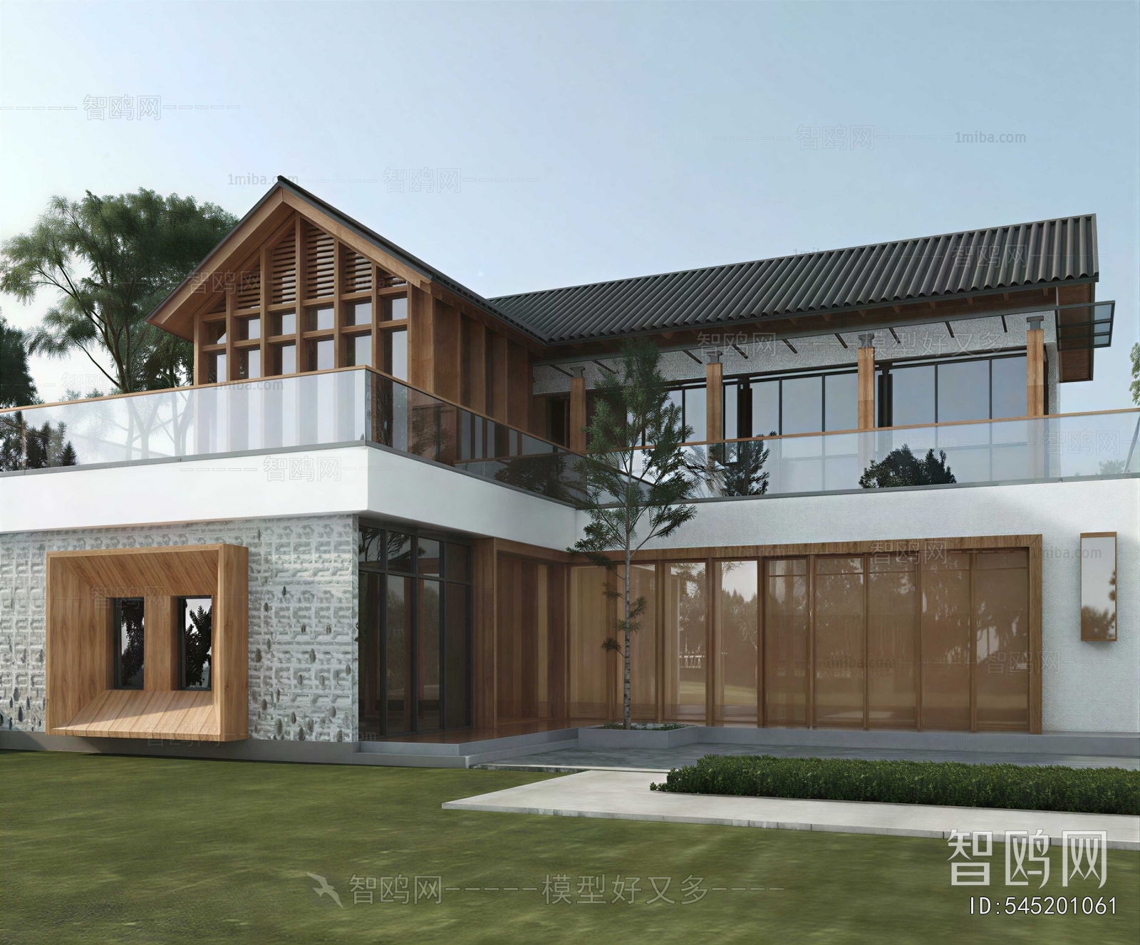 Modern Villa Appearance