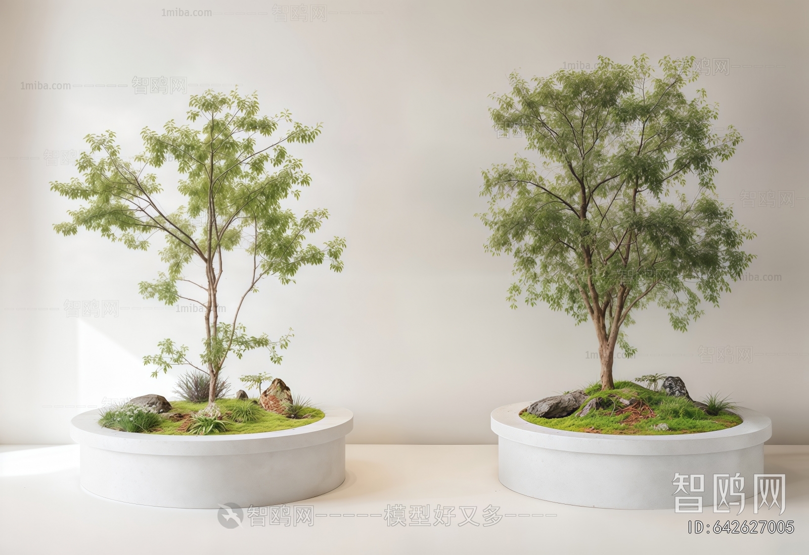 Modern Flower Bed, Flower Bowl, Flower Box