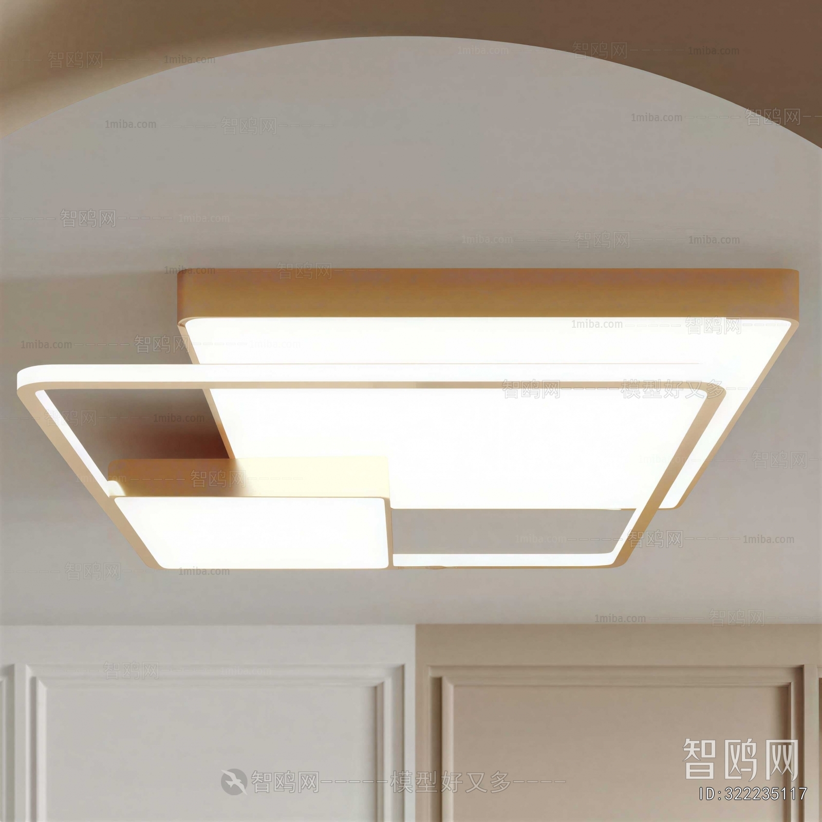 Modern Ceiling Ceiling Lamp