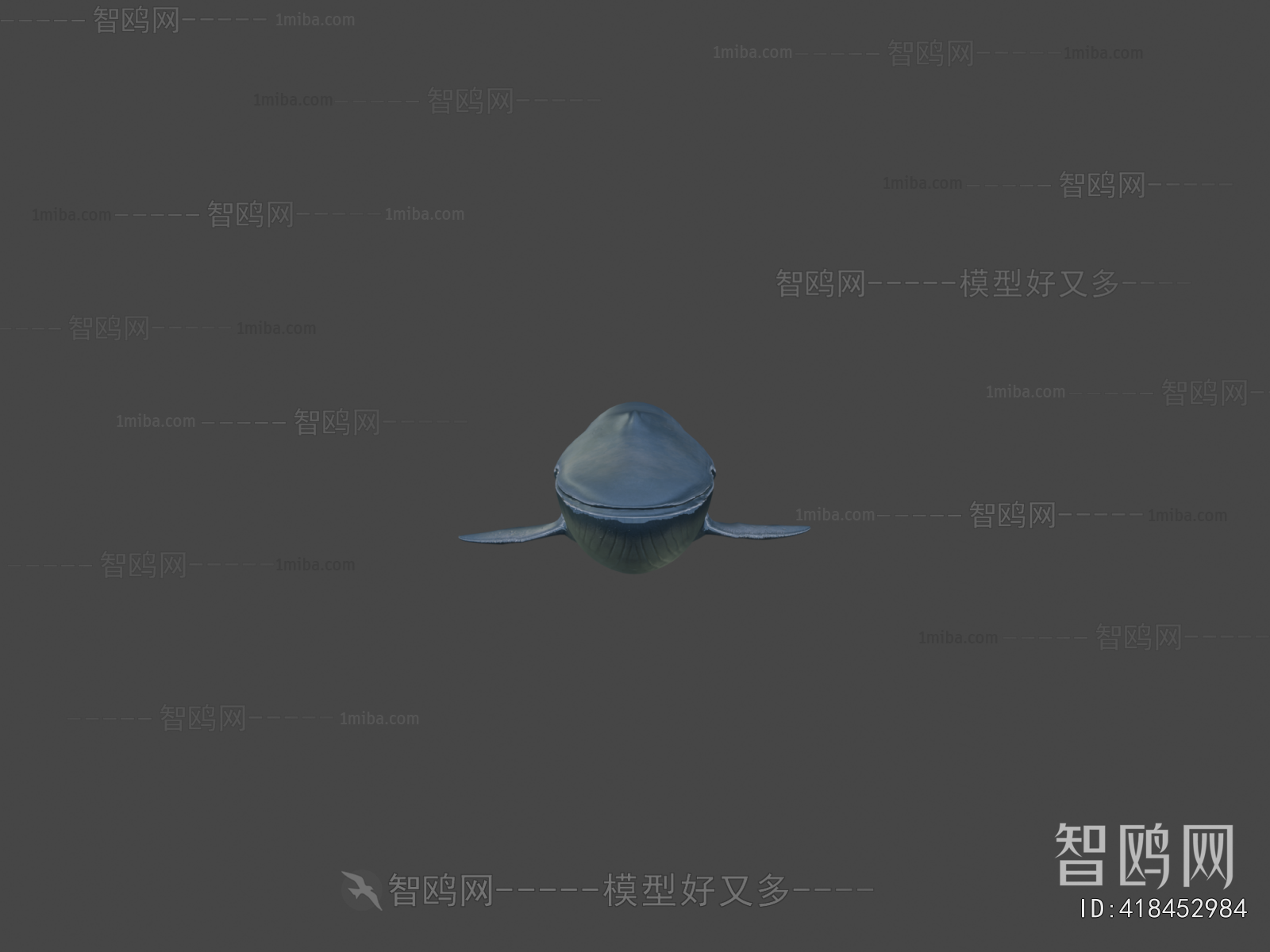 Modern Aquatic Animals