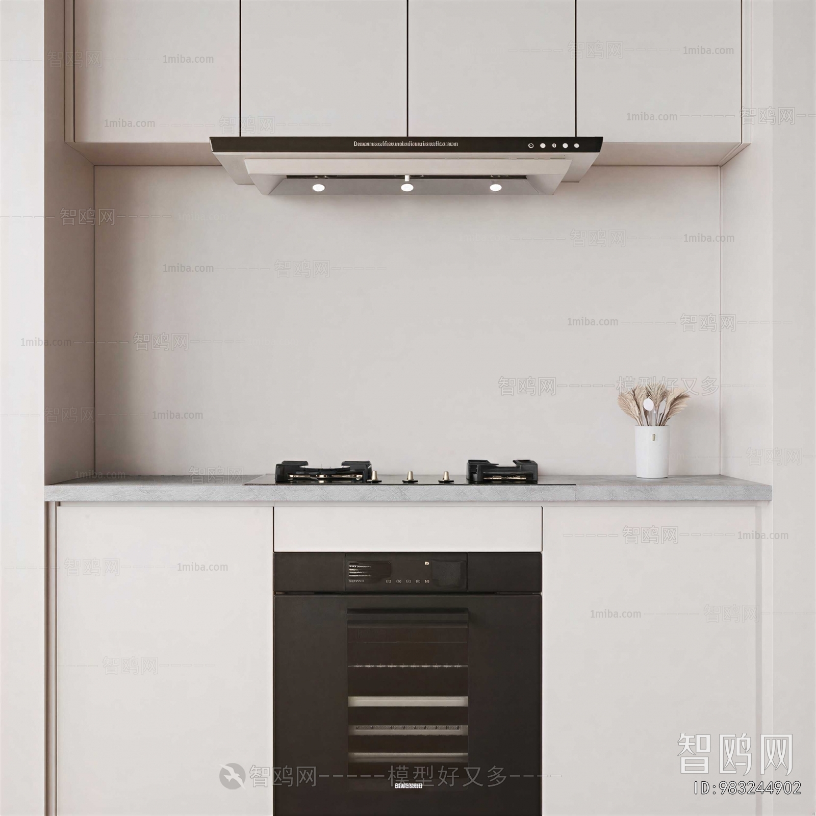 Modern Kitchen Electric Gas Range