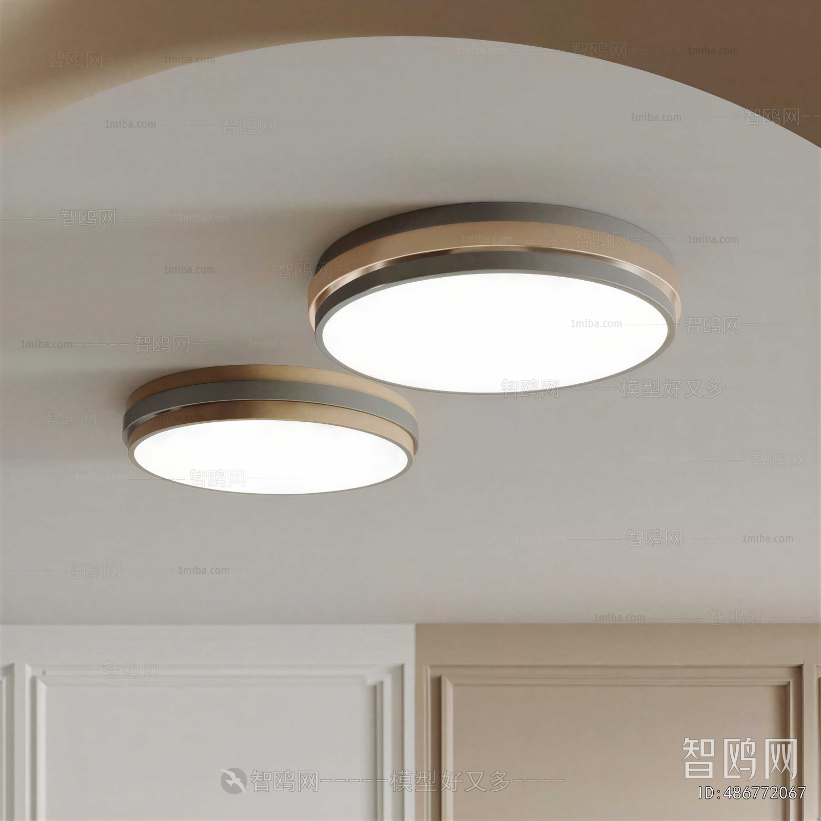 Modern Ceiling Ceiling Lamp