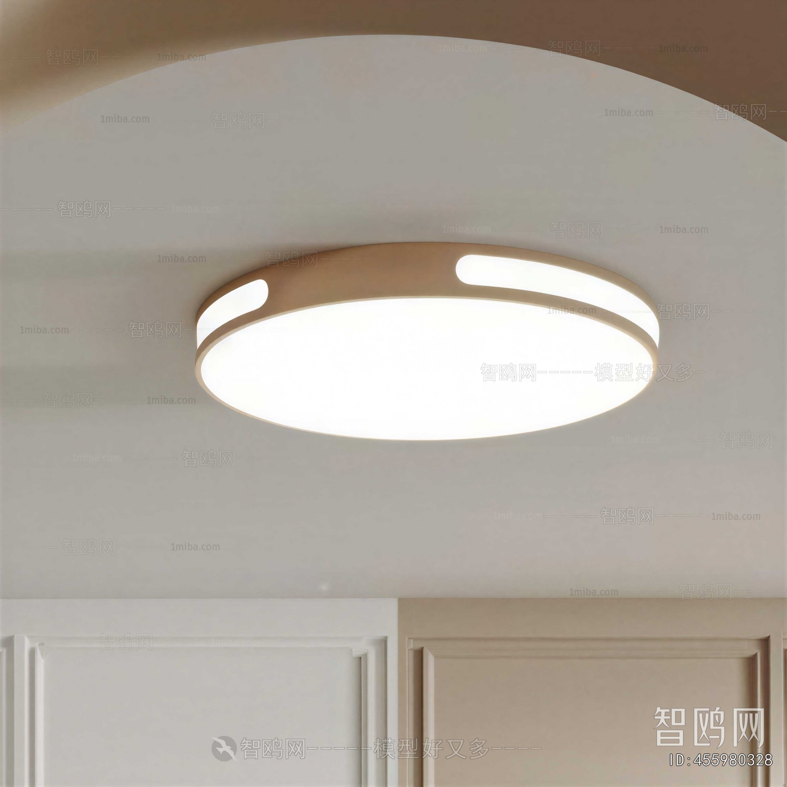 Modern Ceiling Ceiling Lamp