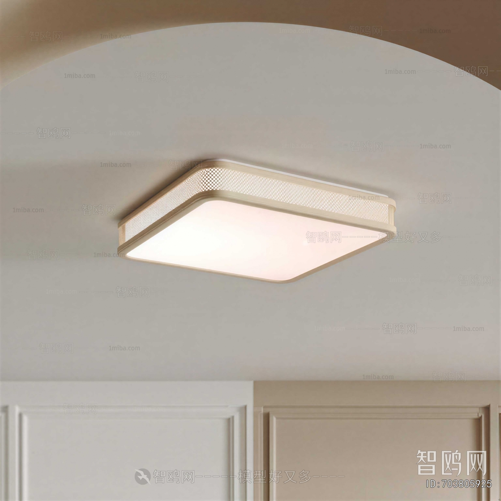 Modern Ceiling Ceiling Lamp