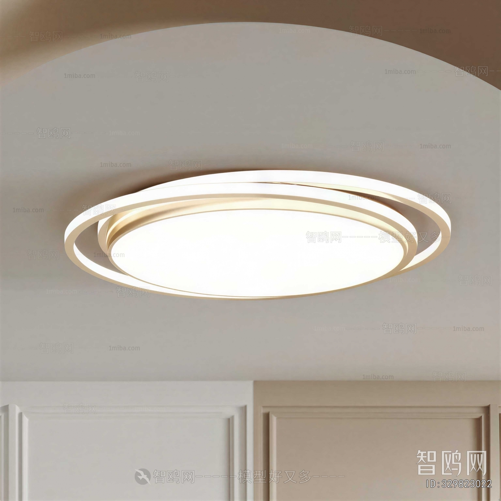 Modern Ceiling Ceiling Lamp