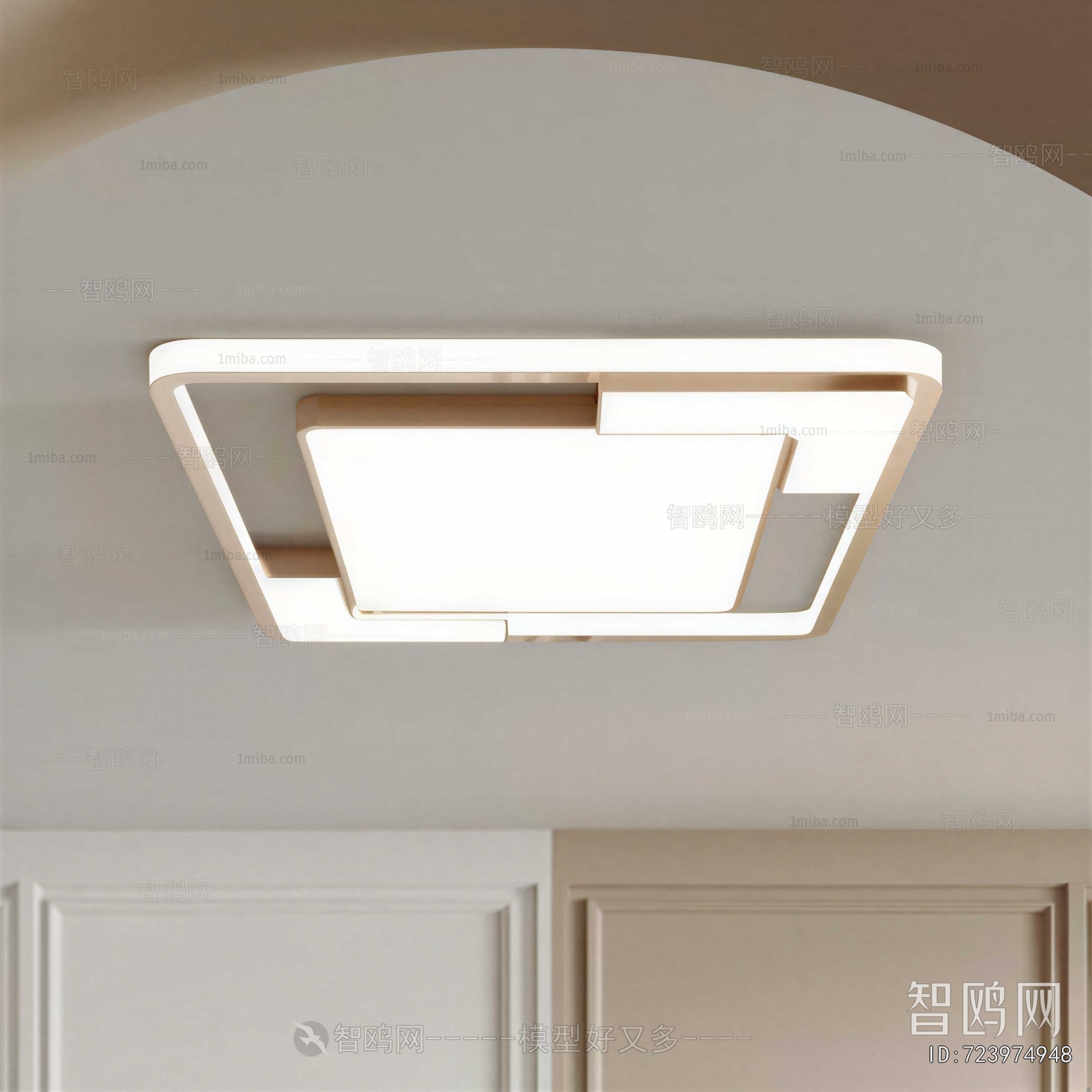 Modern Ceiling Ceiling Lamp