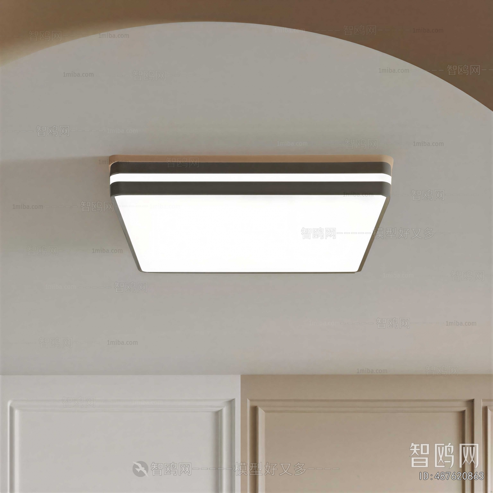 Modern Ceiling Ceiling Lamp