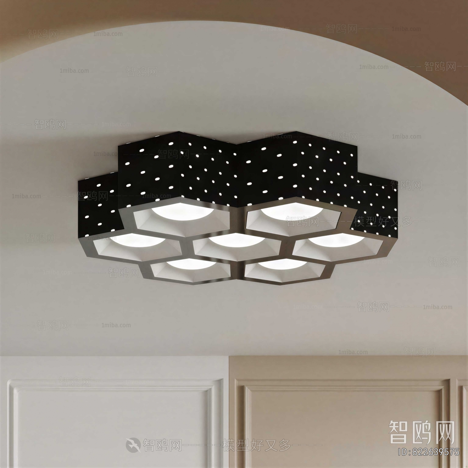 Modern Ceiling Ceiling Lamp