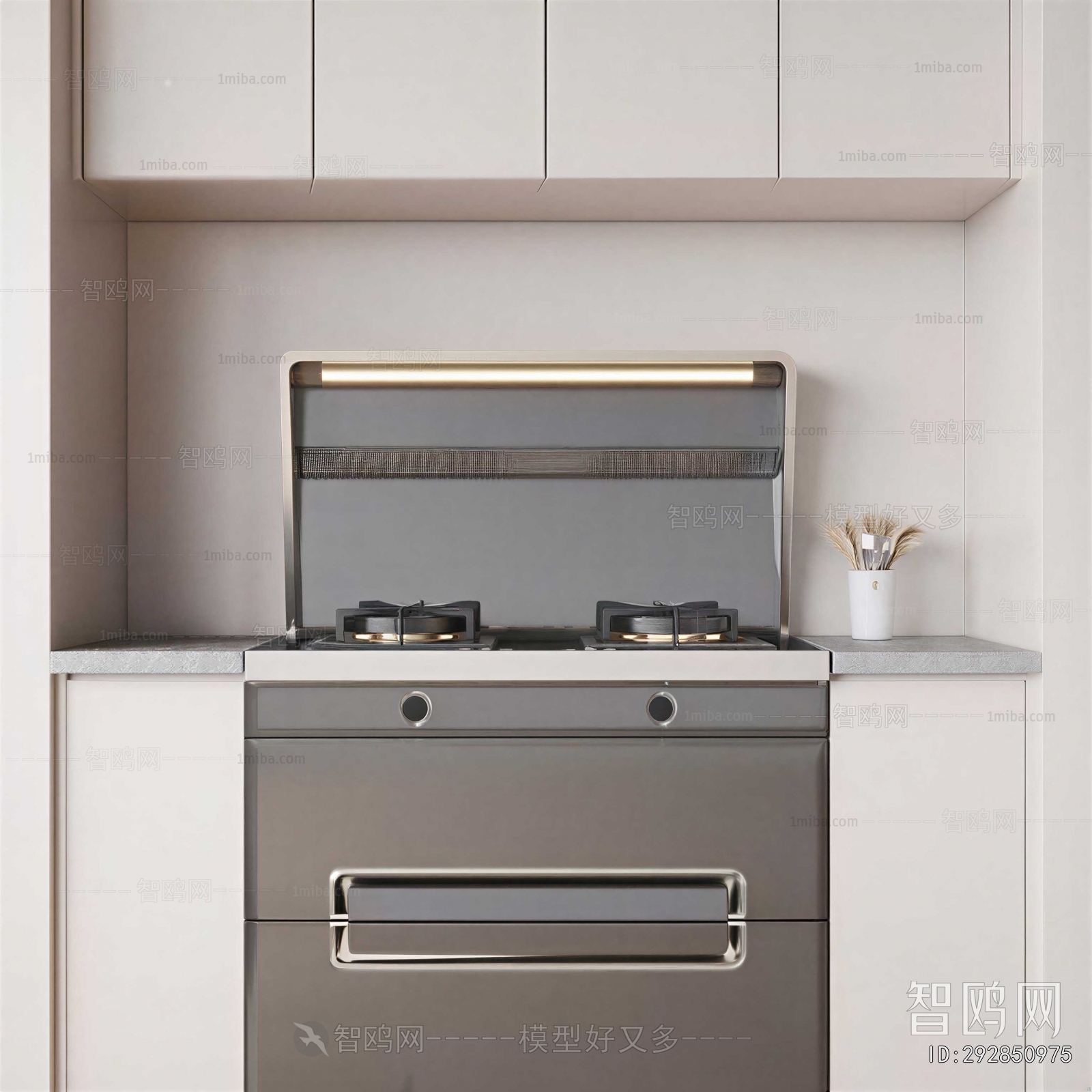 Modern Kitchen Electric Gas Range