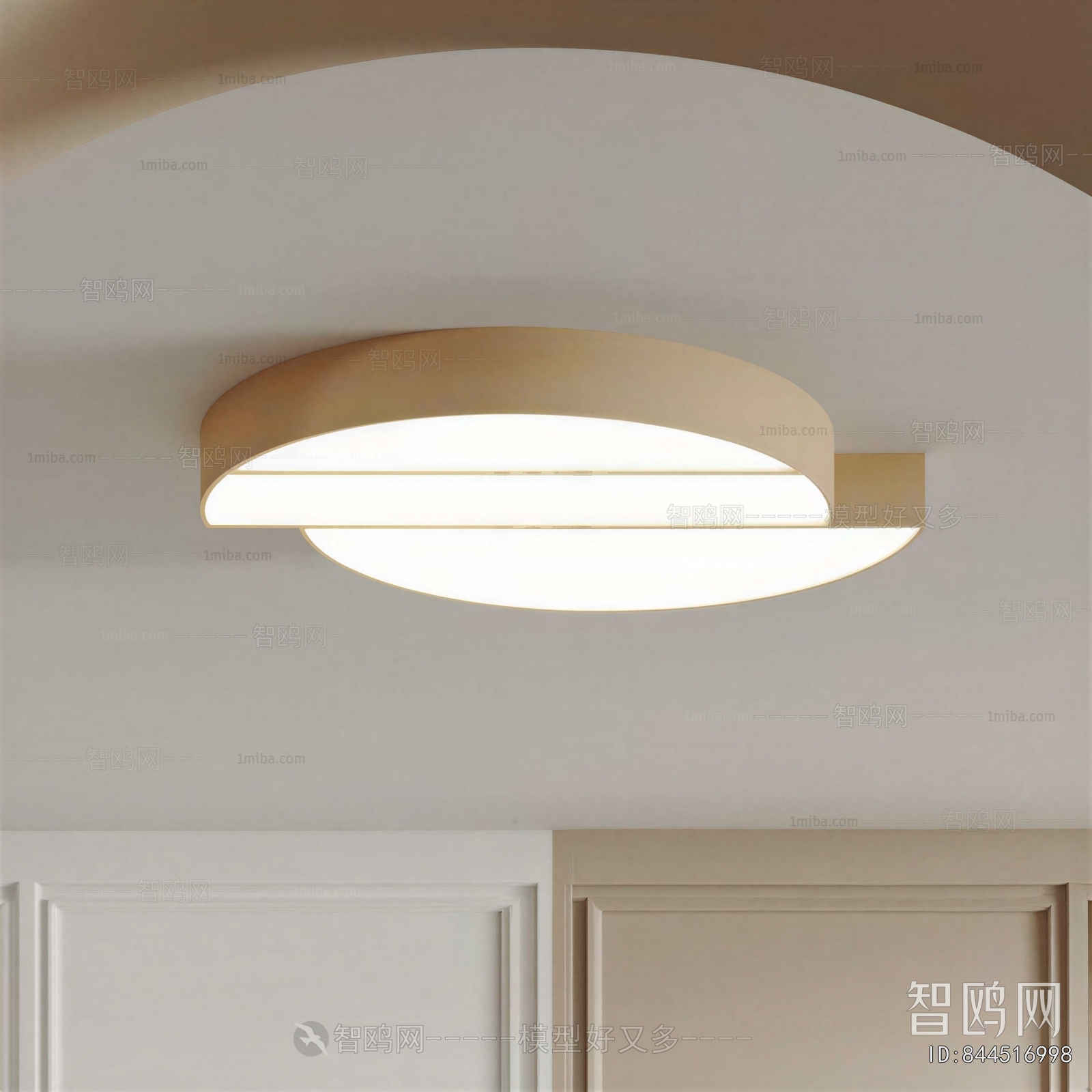 Modern Ceiling Ceiling Lamp