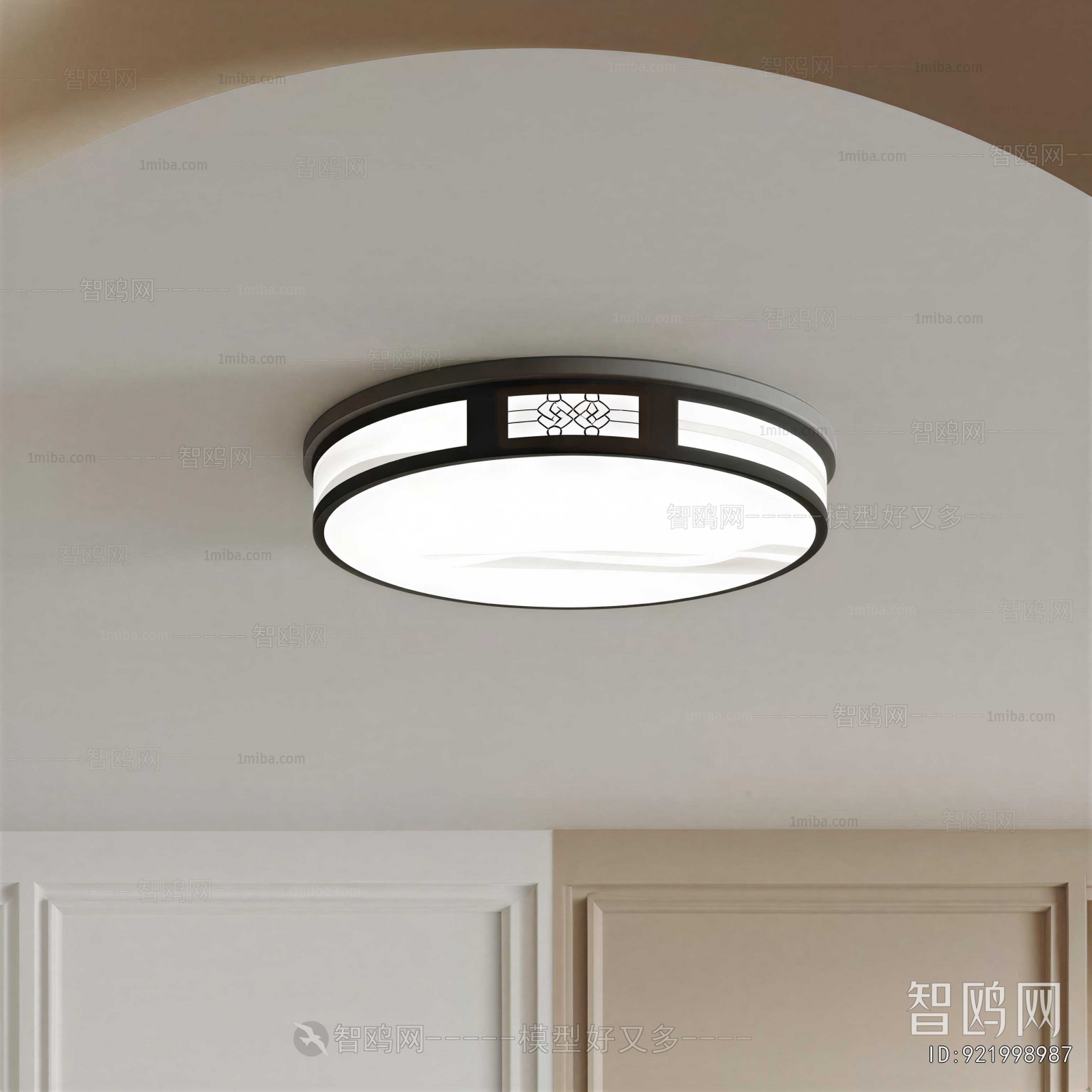 Modern Ceiling Ceiling Lamp