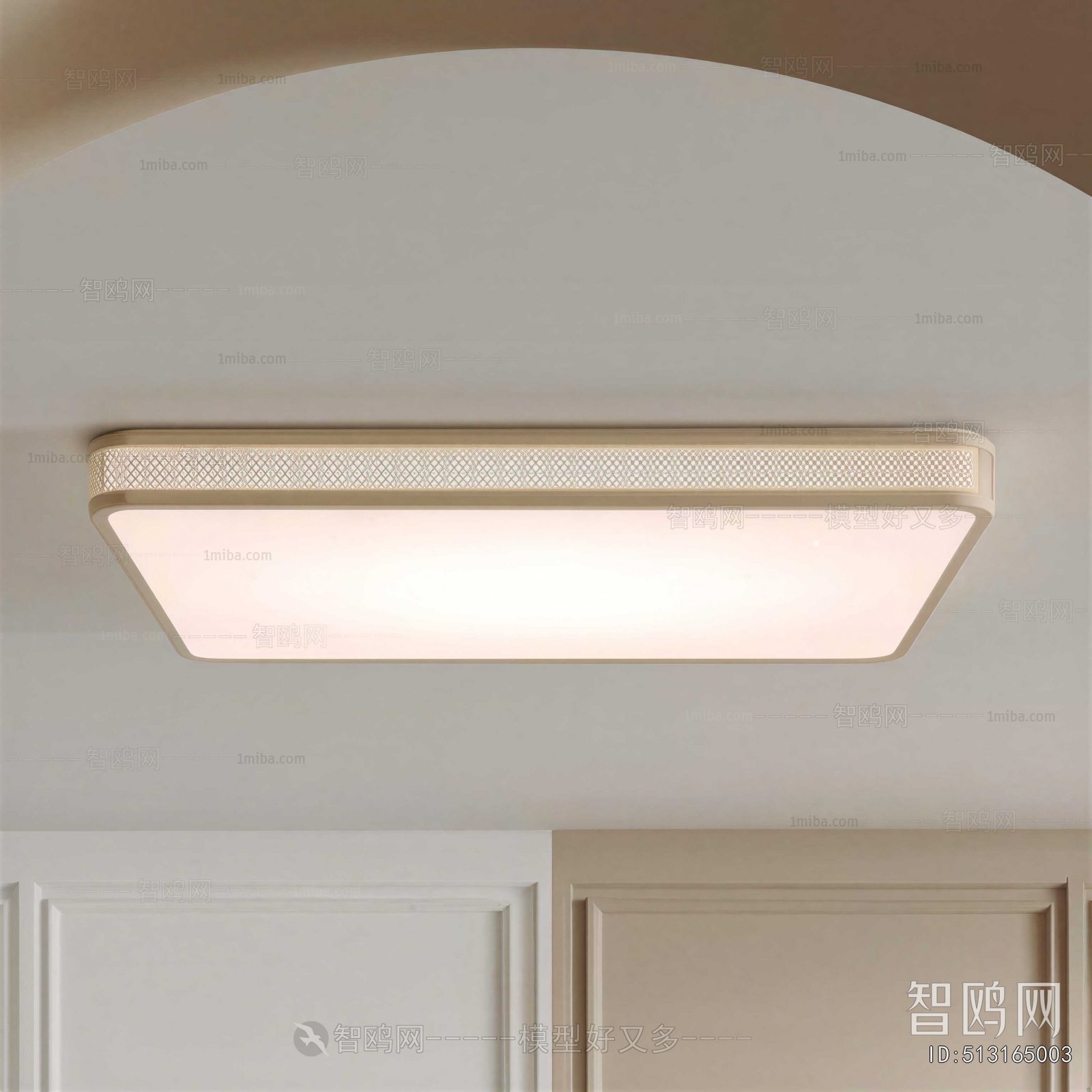 Modern Ceiling Ceiling Lamp