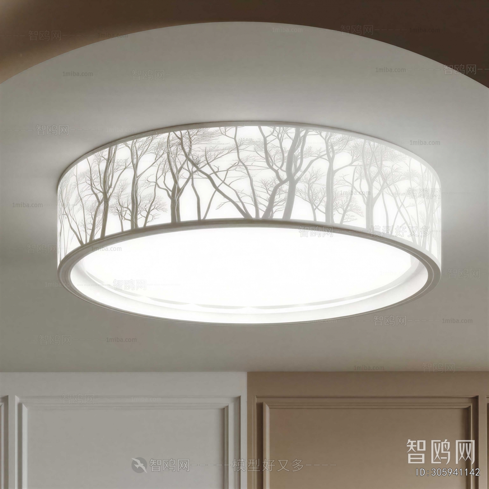 Modern Ceiling Ceiling Lamp