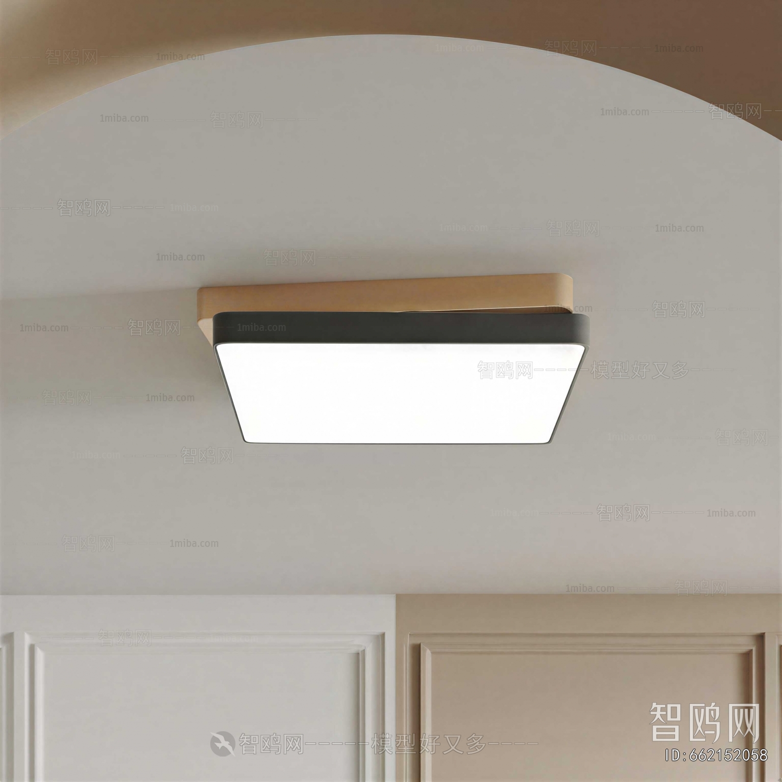 Modern Ceiling Ceiling Lamp