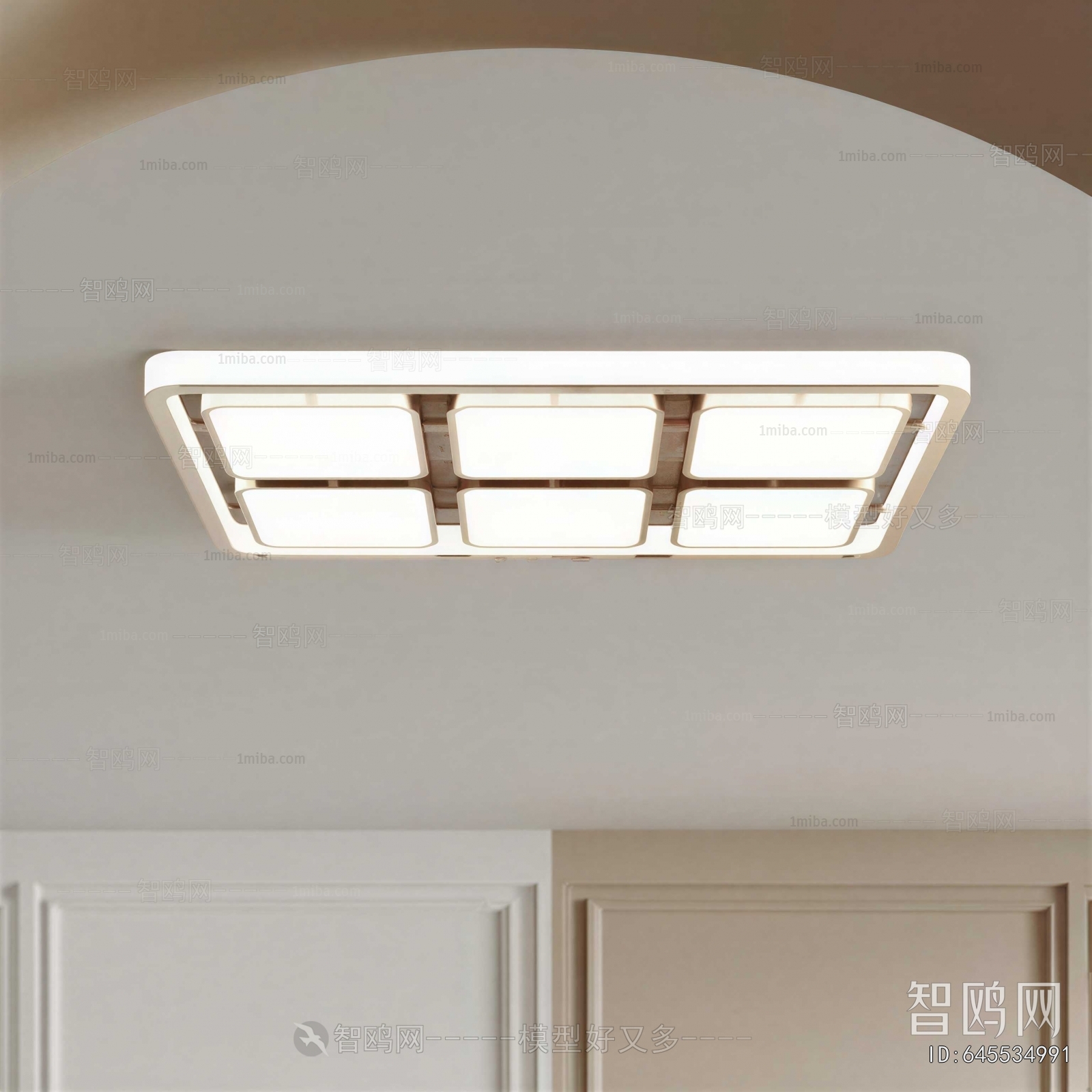 Modern Ceiling Ceiling Lamp
