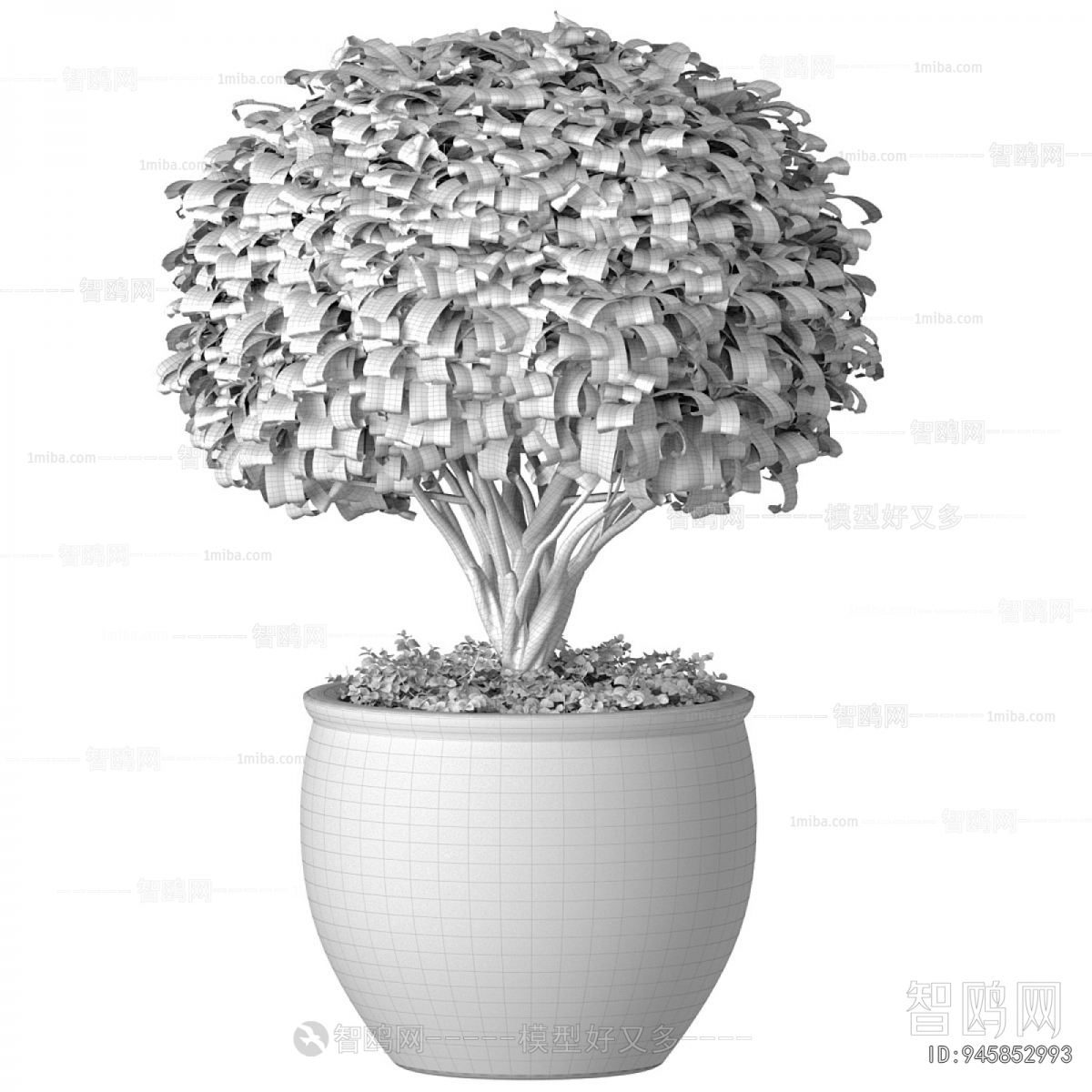 Modern Ground Green Plant Potted Plants