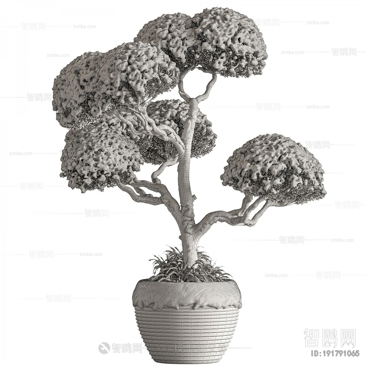 Modern Ground Green Plant Potted Plants