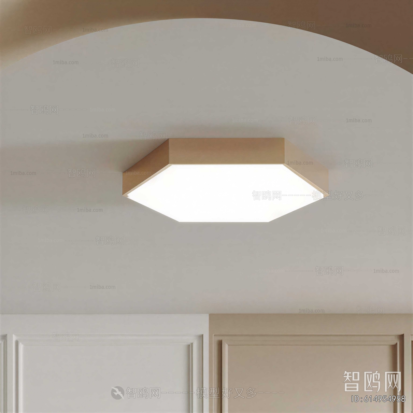 Modern Ceiling Ceiling Lamp